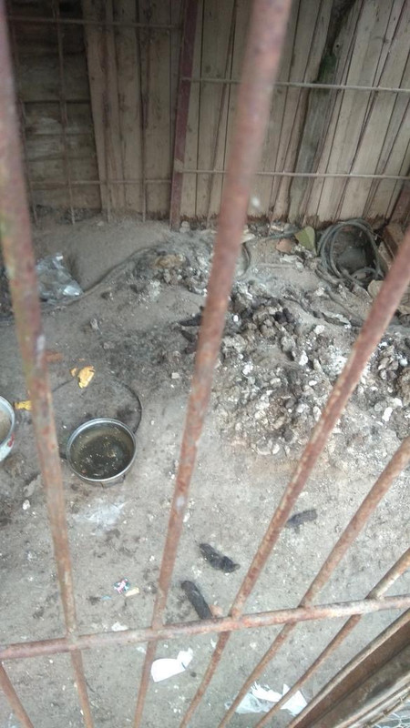 12343C2B-0DE1-4AA7-A81A-AFEC457C6752