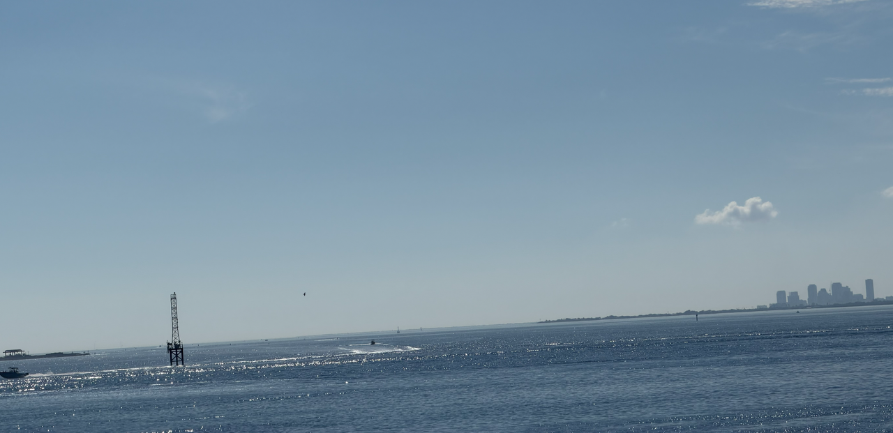 [Image: GAndy-Bridge-Tampa-Fla.png]