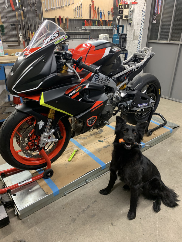 222A48D7-F9D7-4744-9EC8-E95F61F70A8C