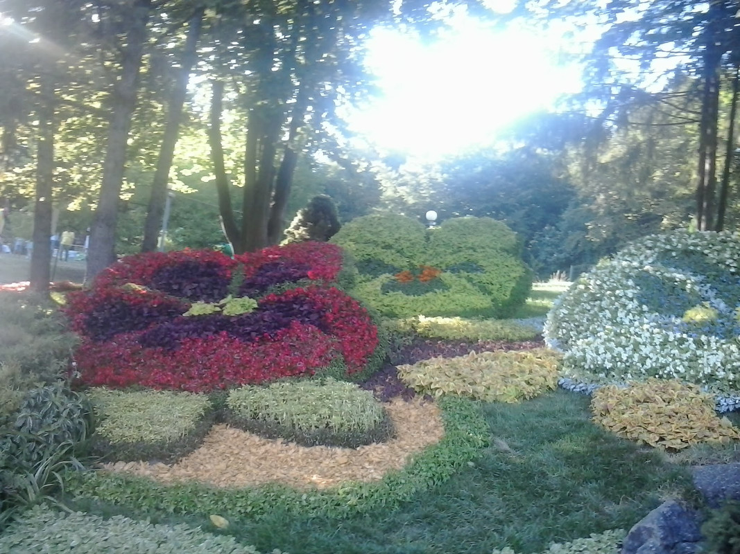 2015-08-25-17-15-03.jpg