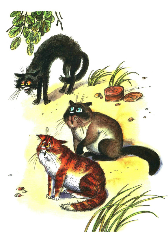 Serova-Jekaterina-Kak-kot-stal-Kotom-Kotofeichem-page-0020