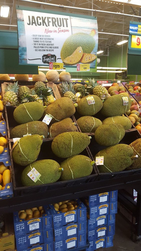 heb-jackfruit
