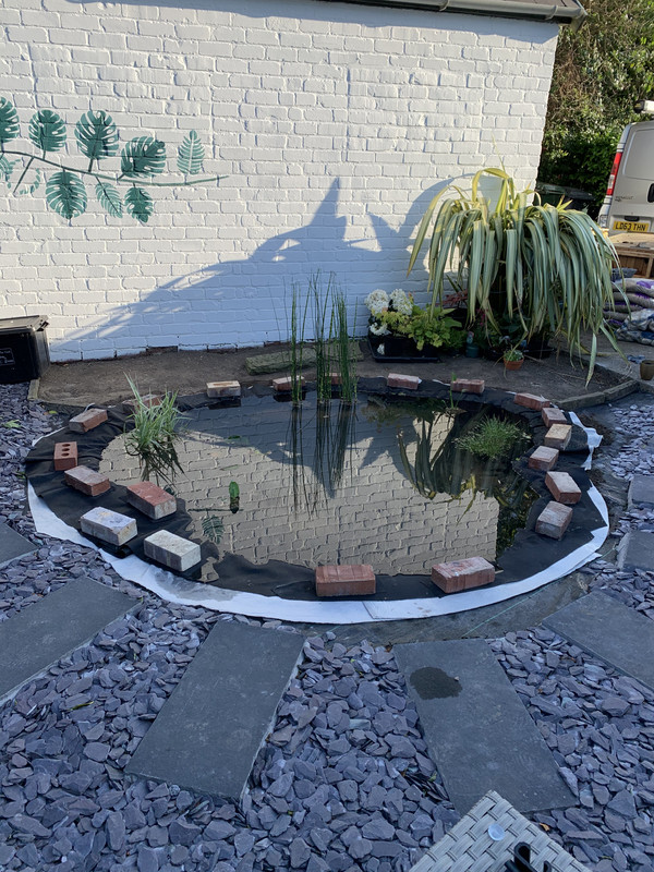 AB92BC8B-2C78-4743-B838-B8C47DA99121