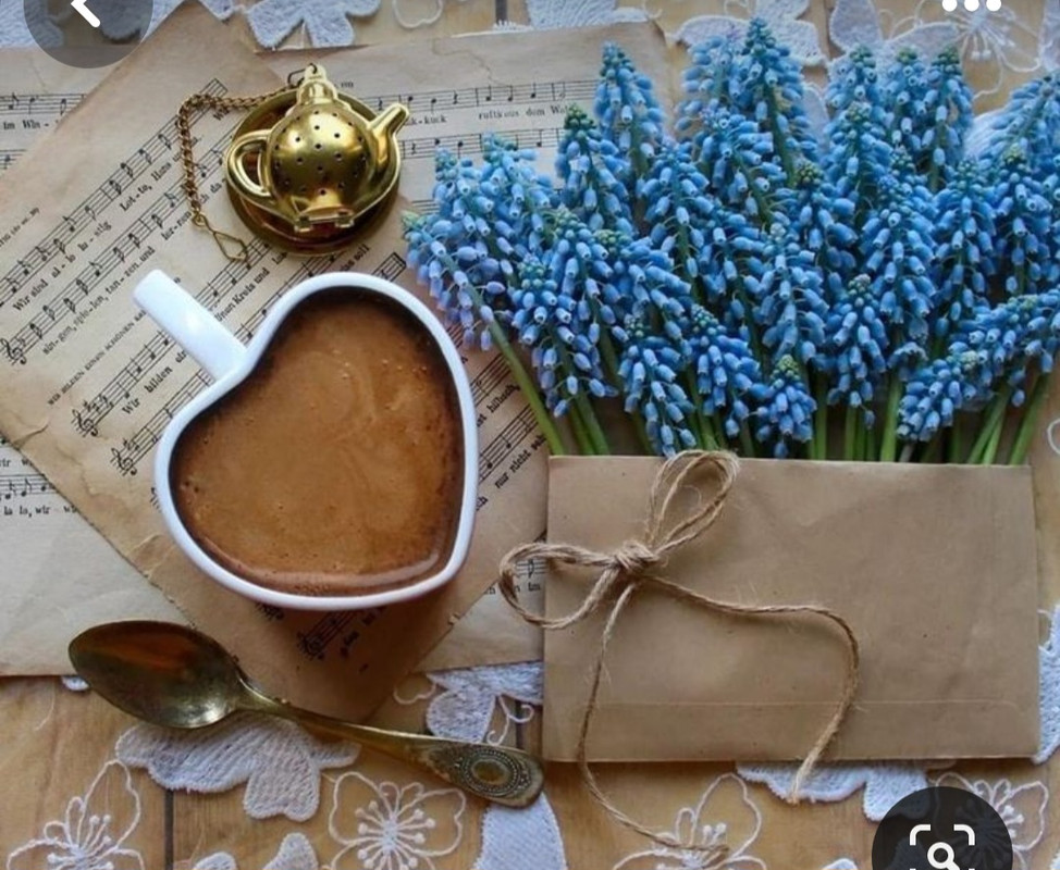 Screenshot_20240206_203933_Pinterest