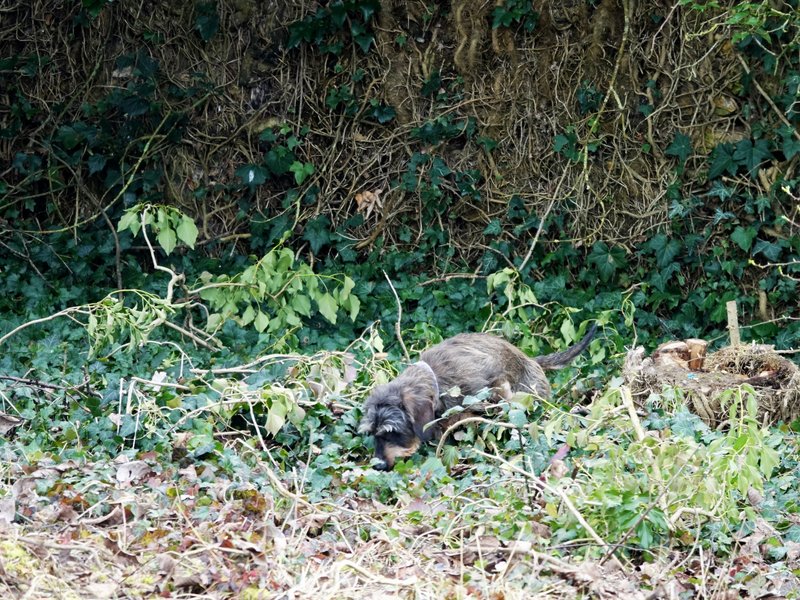 [Image: DSC00698.jpg]