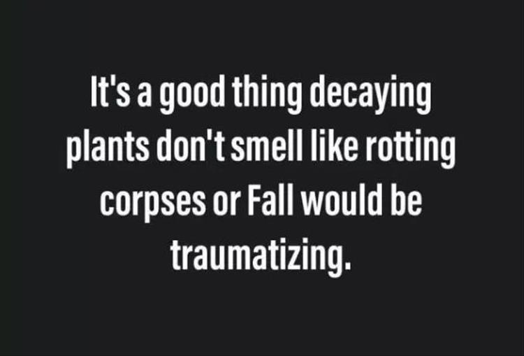 if_rotting_leaves_smelled_like_corpses_fall_would_be_disturbing.jpg