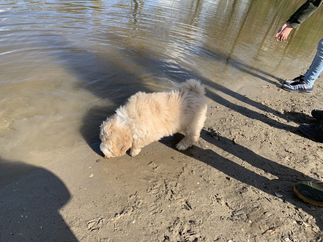 43D6FA8C-D557-4BFB-98A4-8FCCD21D8606