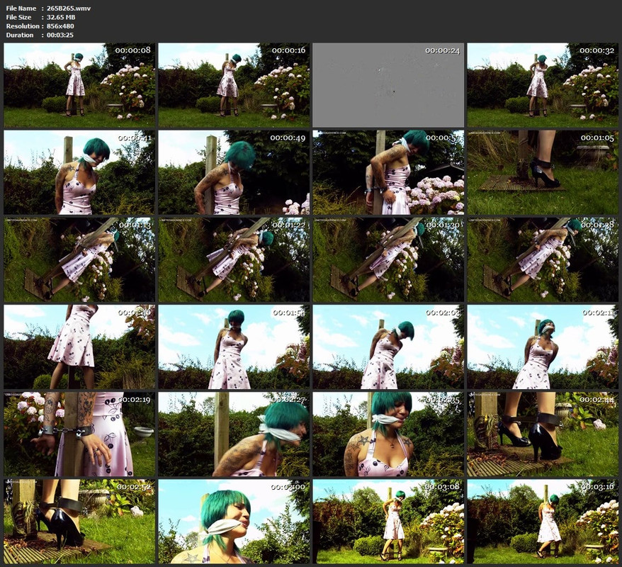 265B265.wmv
