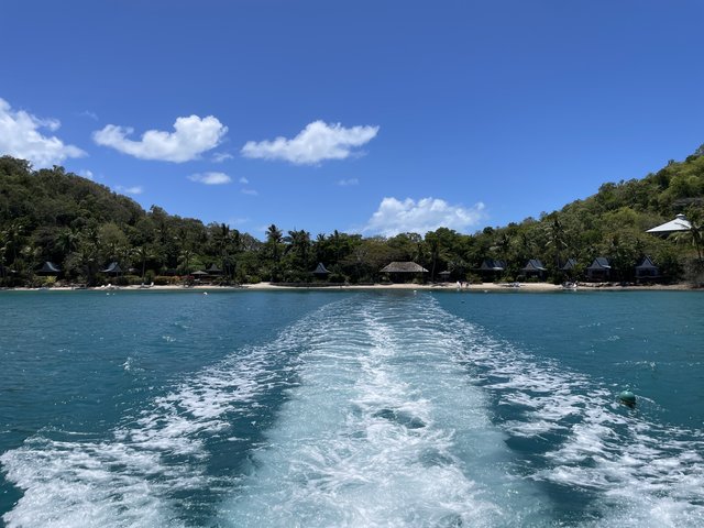 Bajando hacia Fraser Island con parada en Eungella N.P. - El abrazo a Pearl (1)