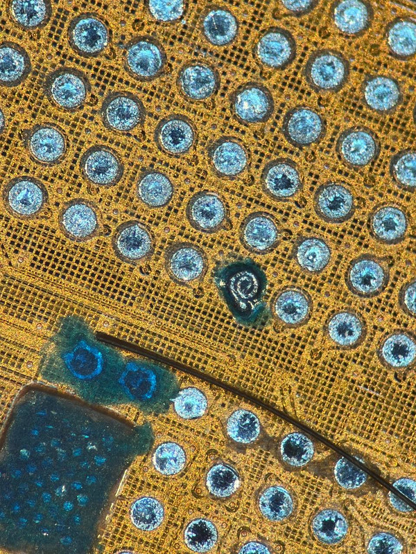 23999836-980D-42DD-8297-D0DC5B994C44