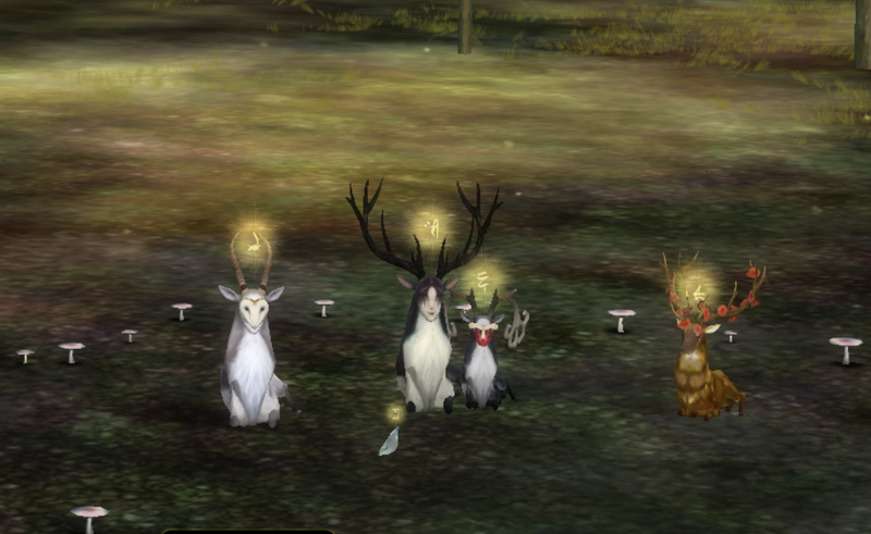 image 2025 12 14 213429811