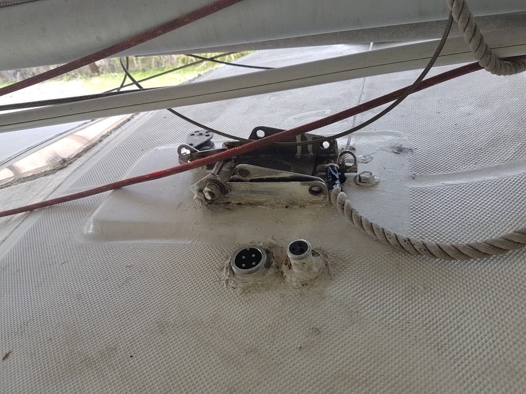 20201103_115824 (Medium)