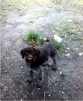 Стоп-кадр(02)