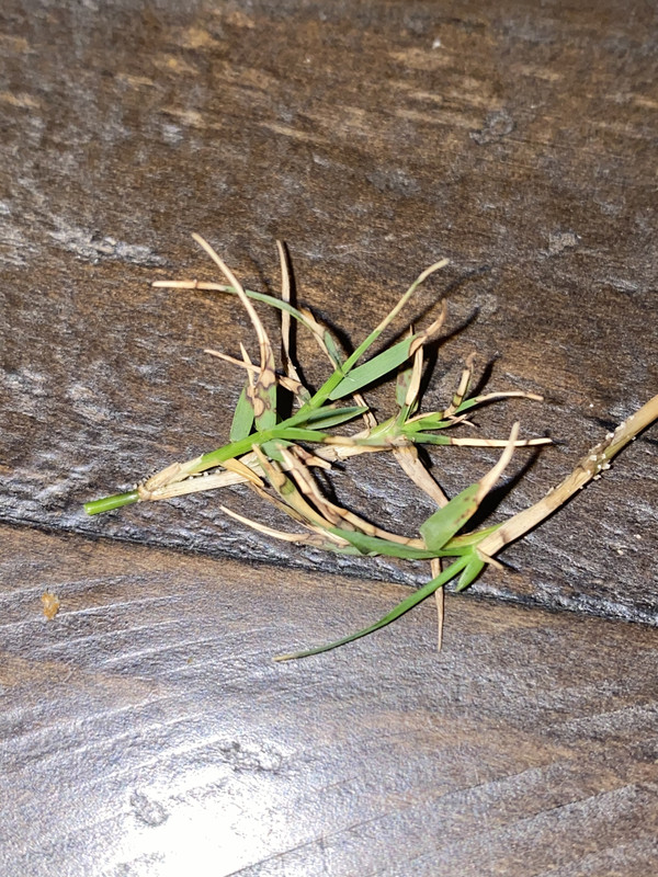 B0275B8F-1674-4D0B-B93A-EFB62CA0CBF7