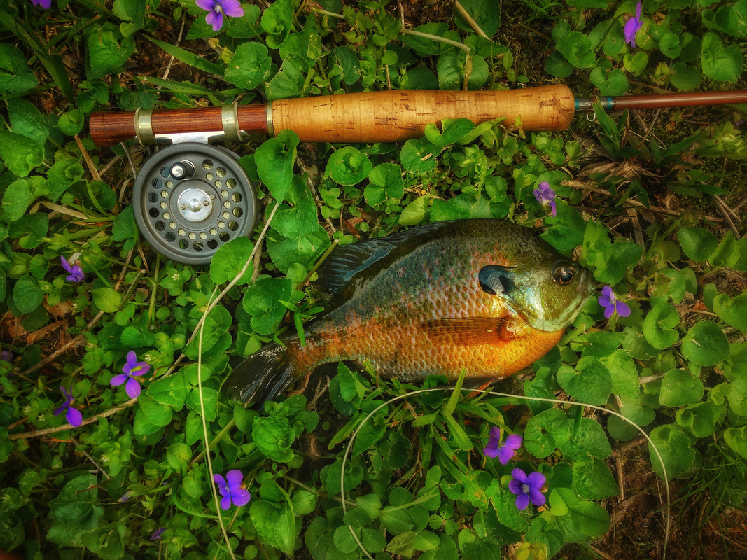 IMG_20180504_111040-01-01