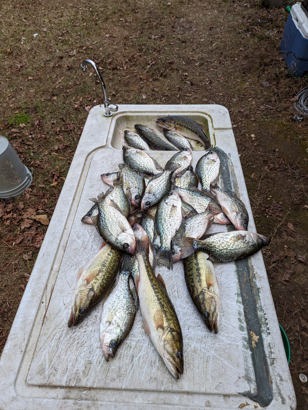 PXL_20231130_220856890