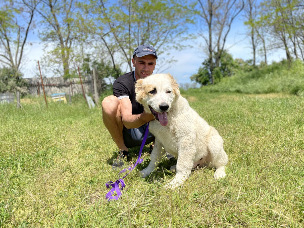 9D897823-CBED-4C46-9A4B-7312BDA03173