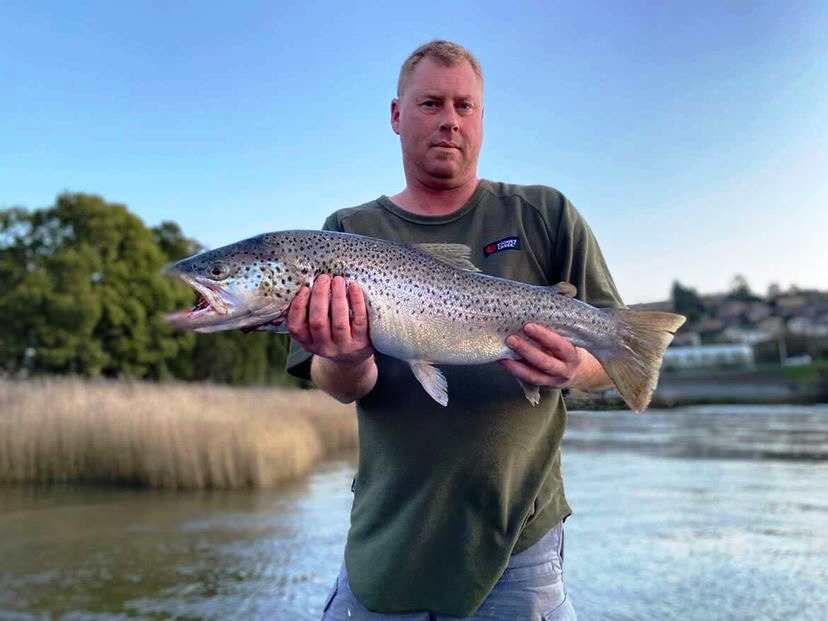 155981DD-2B4E-4B9A-A593-FF7158663065