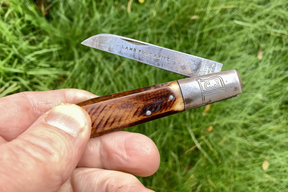 AEC6D22A-95FC-44F1-BCA8-C37D7E89C569