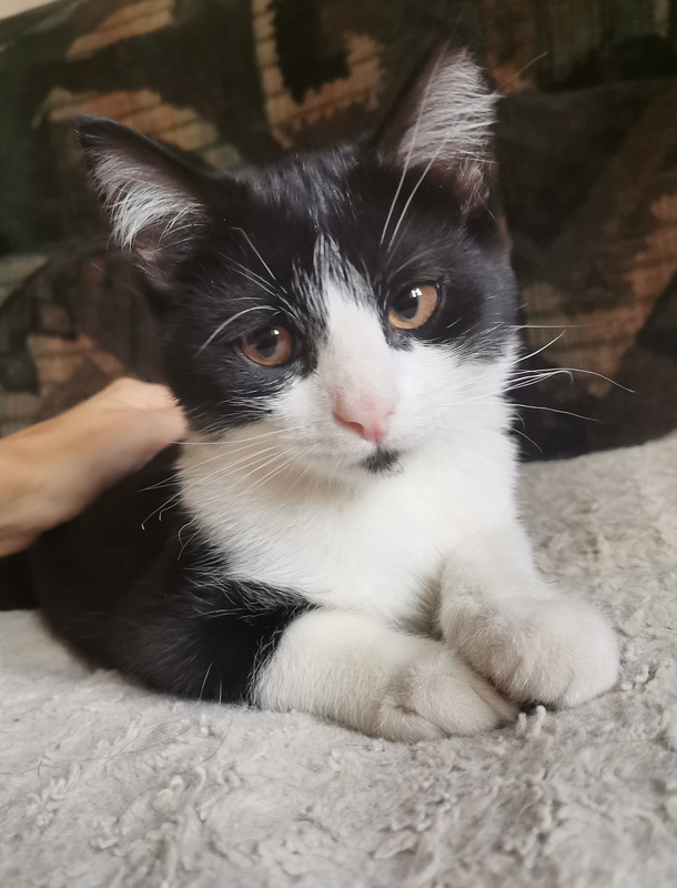 IMG_20241015_115516_edit_1739892293171488