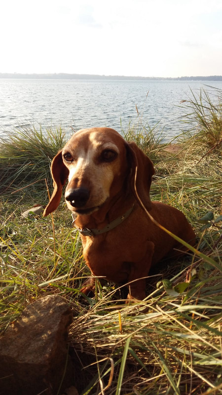 [Image: IMG-20201229-WA0003.jpg]