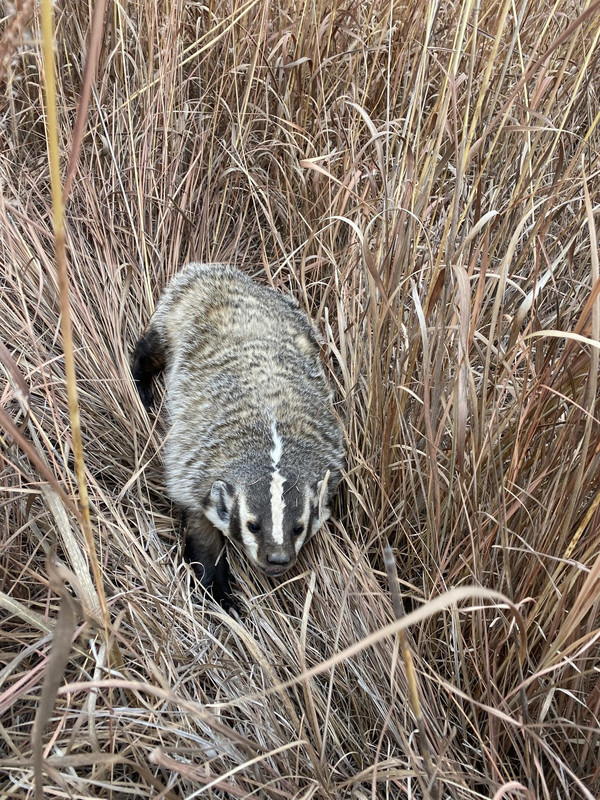 8EB7C728-10E9-4219-8803-B15C69C24122