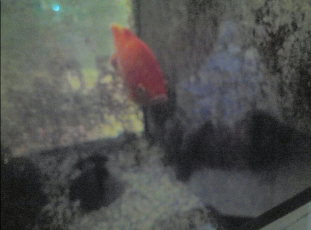 WhatsApp Image 2018-01-12 at 19.38.16(1)