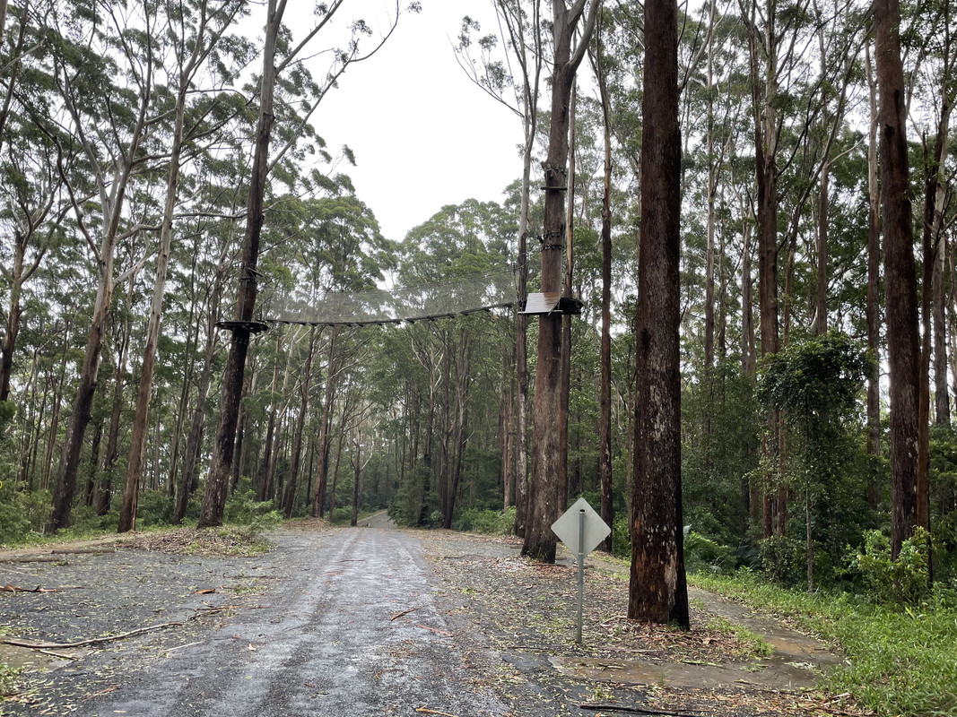 B30AD487-2CDE-471D-BF04-11E7FE816813