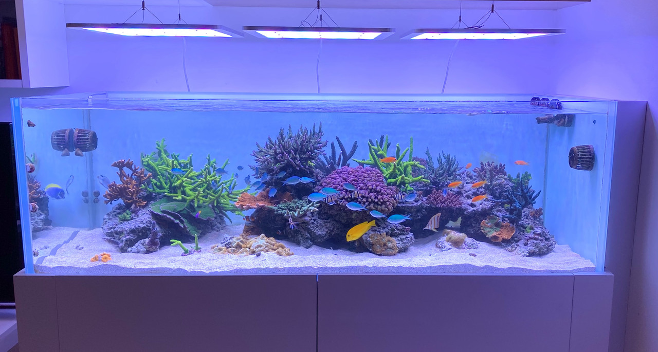 28A70E2C-2DE2-46DD-A68B-4CBB60980E5C