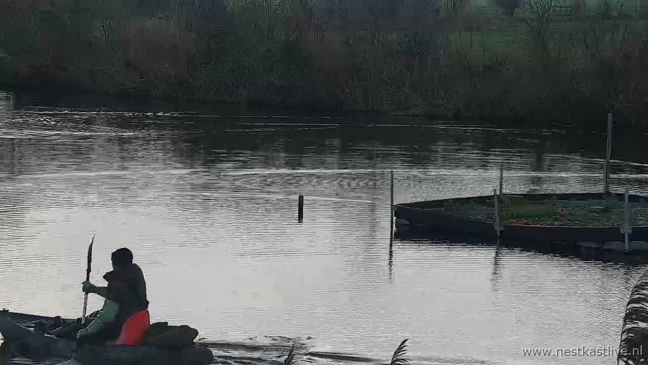 snapshot 2025 12 22T122151 051