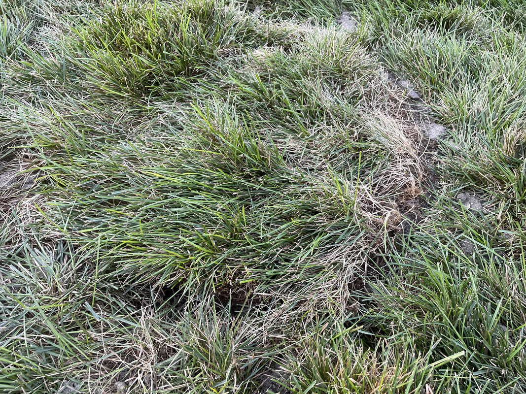 1C936A85-3555-42A1-A7EA-9B76157A7E3C