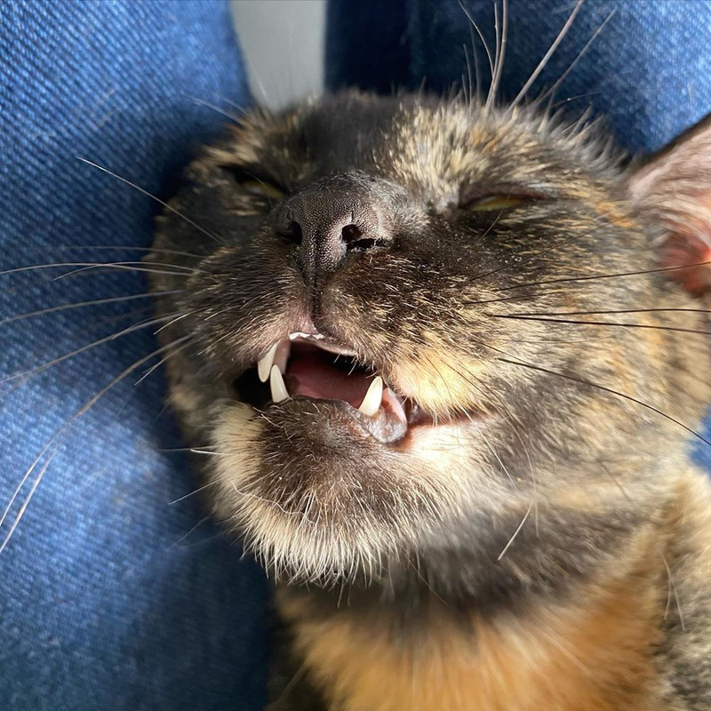 1ECE7A60-98DF-414E-B4DB-4FE1FAD80548