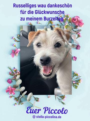 An den Beitrag angehängtes Bild: https://i.postimg.cc/KvWngyGX/Billd-03-PICCO-danke.jpg