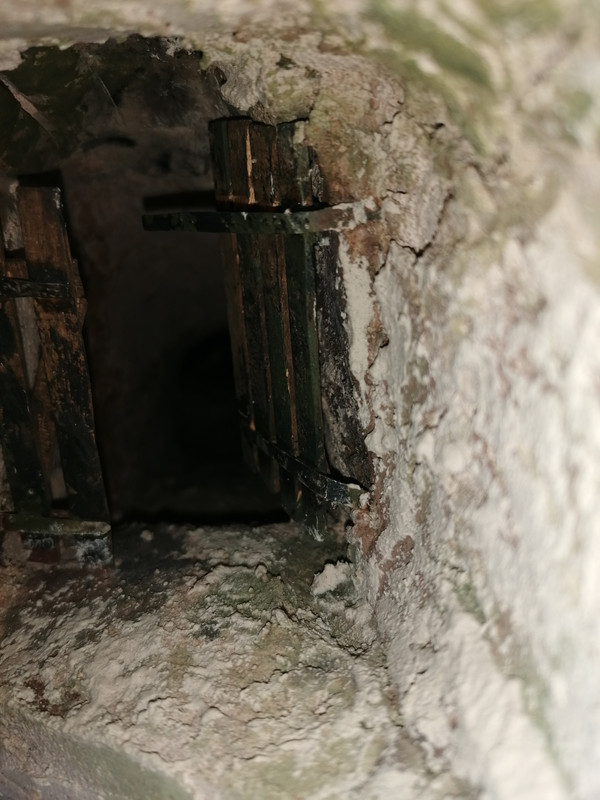 1/24. Sortie de cave en Rabelaisie 1956,, échelle 1/24 IMG-20221030-123059