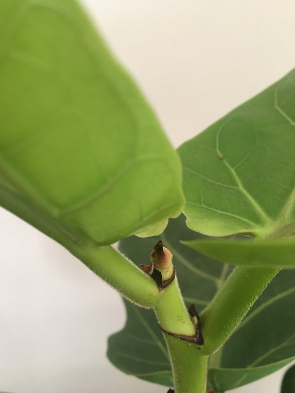 73D1A3D3-5D11-4307-A17A-1A4DE7089345