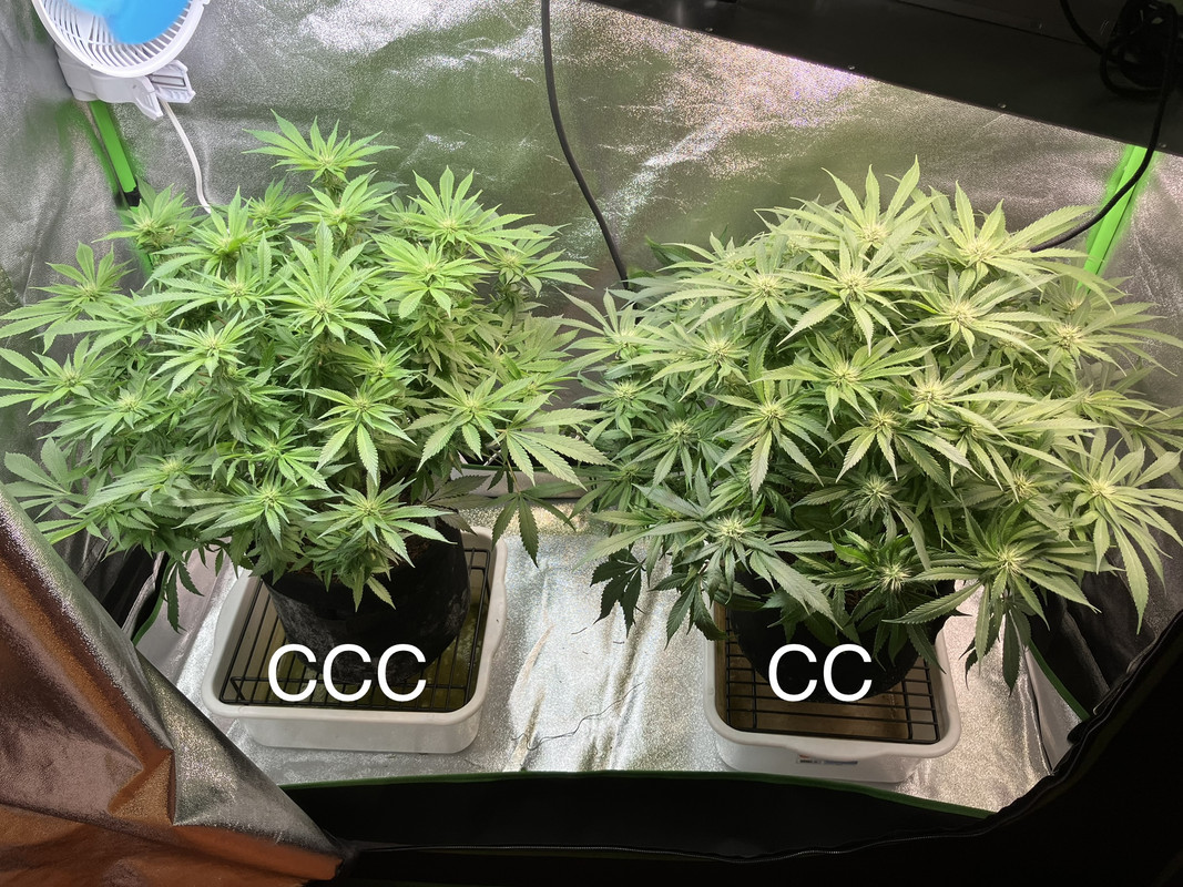 IMG_1638 (Mayo 27  2023)