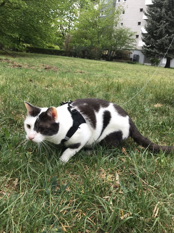 FD2F0968-AE48-4555-A562-9AEF3F5DBFA2