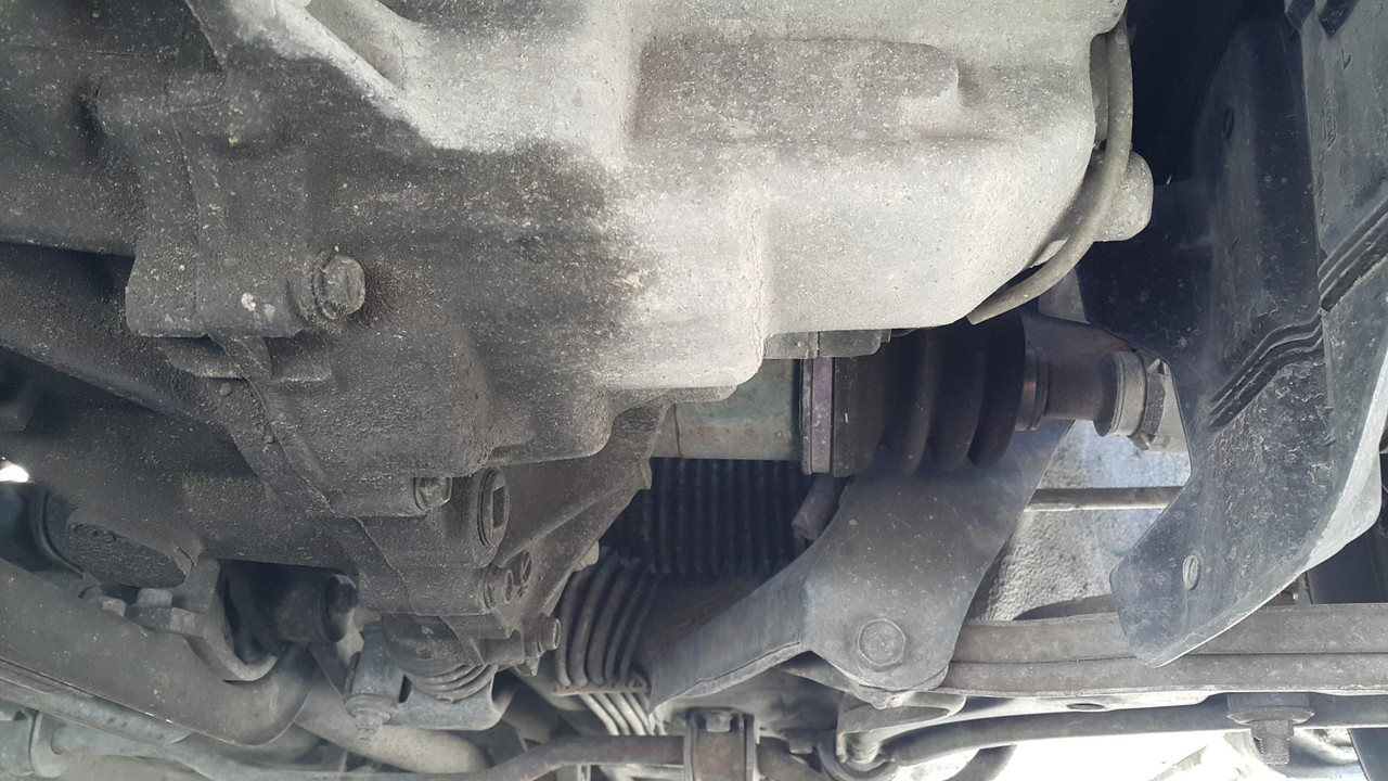 20201001_130435 (Large)