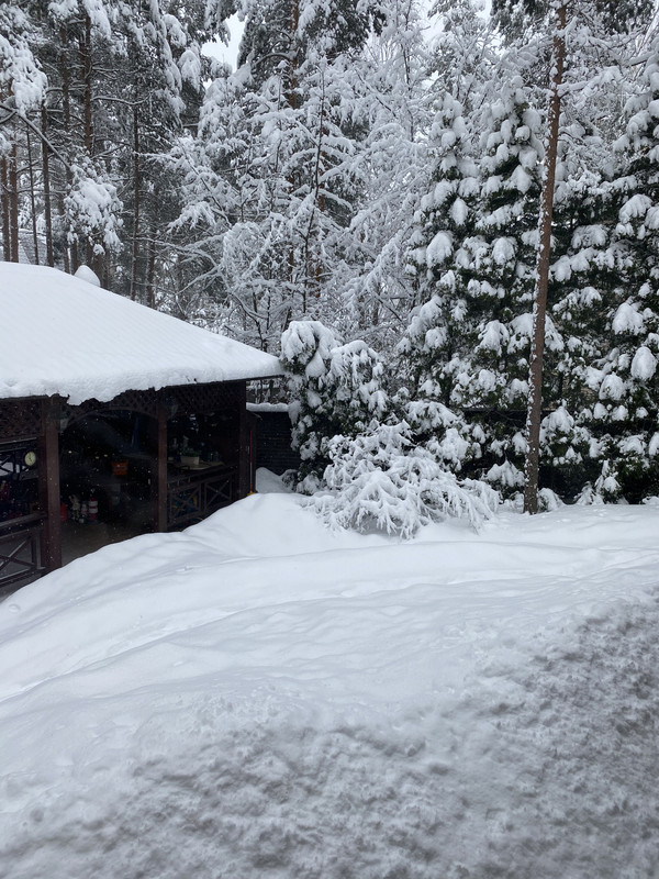 2E5CB776-09D7-4052-9571-D01612260667