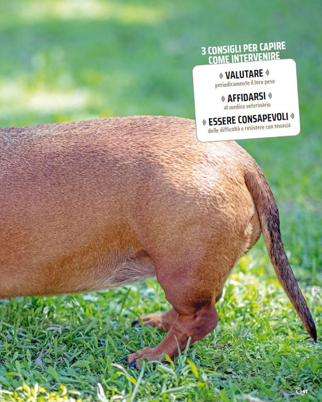 QuattroZampe Ott 2023 (4)