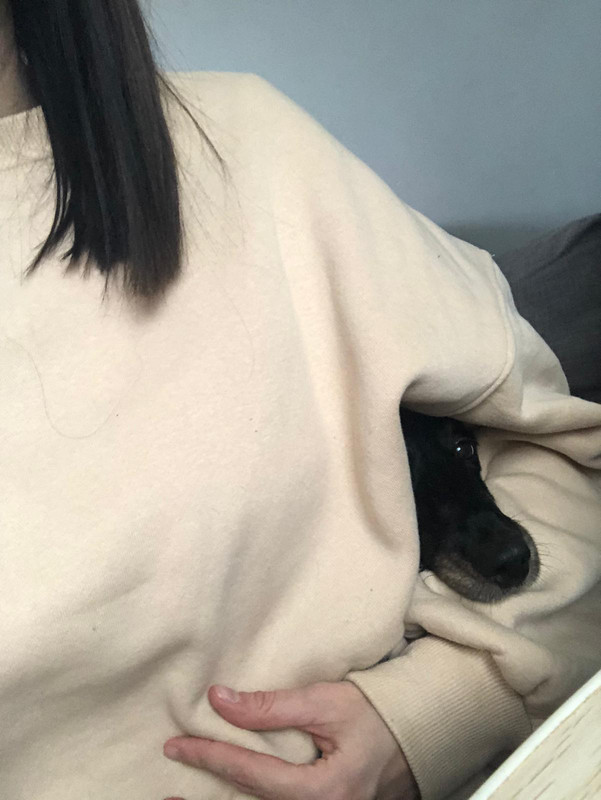 [Image: IMG-20241121-WA0010.jpg]