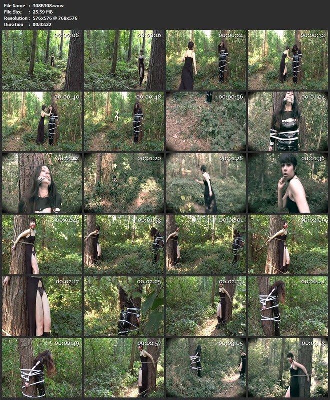 308B308.wmv
