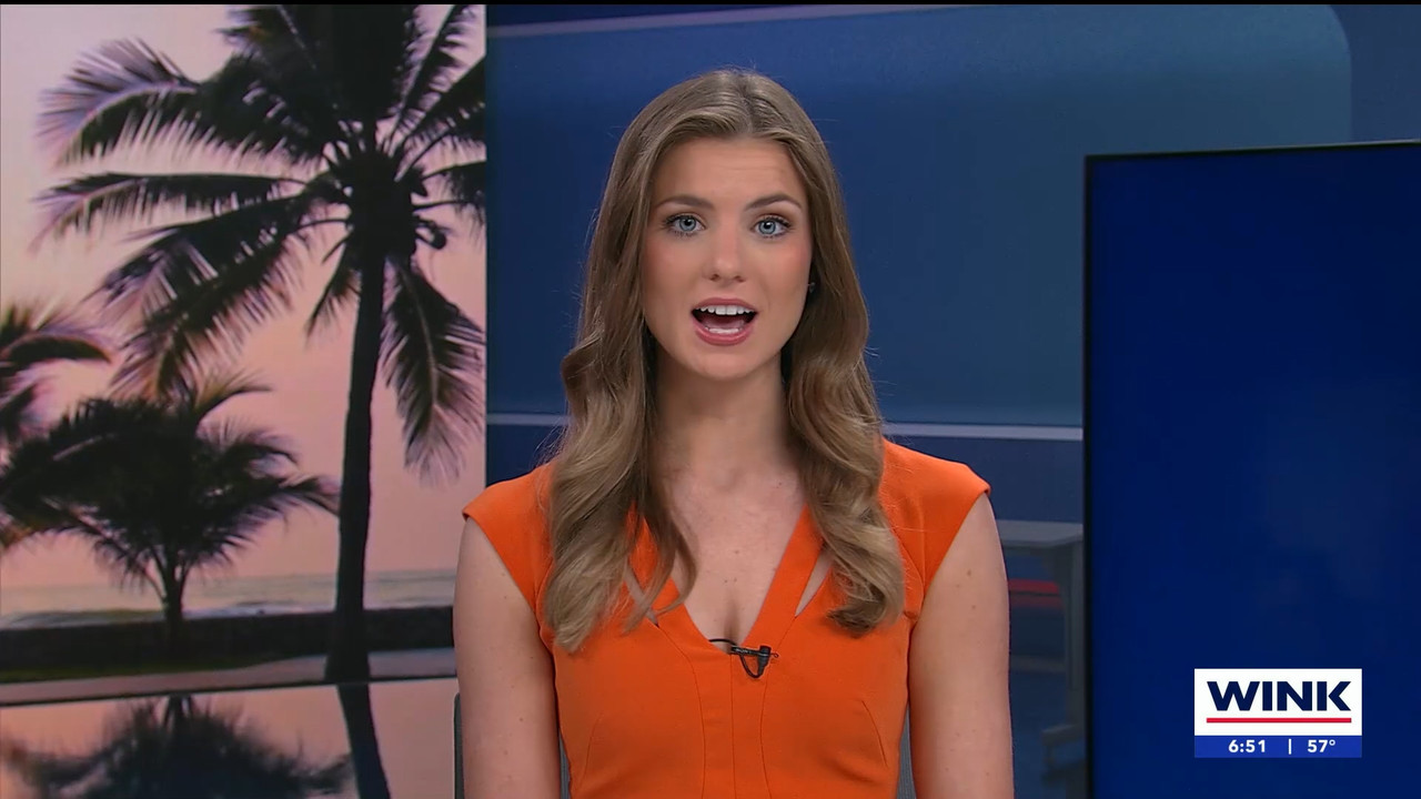 04.14 - 11.00.01 - WINK NEWS at 6 00am Sunday  ᴺᵉʷ. Sunday morning ne....ts_snapshot_00.52.47.235