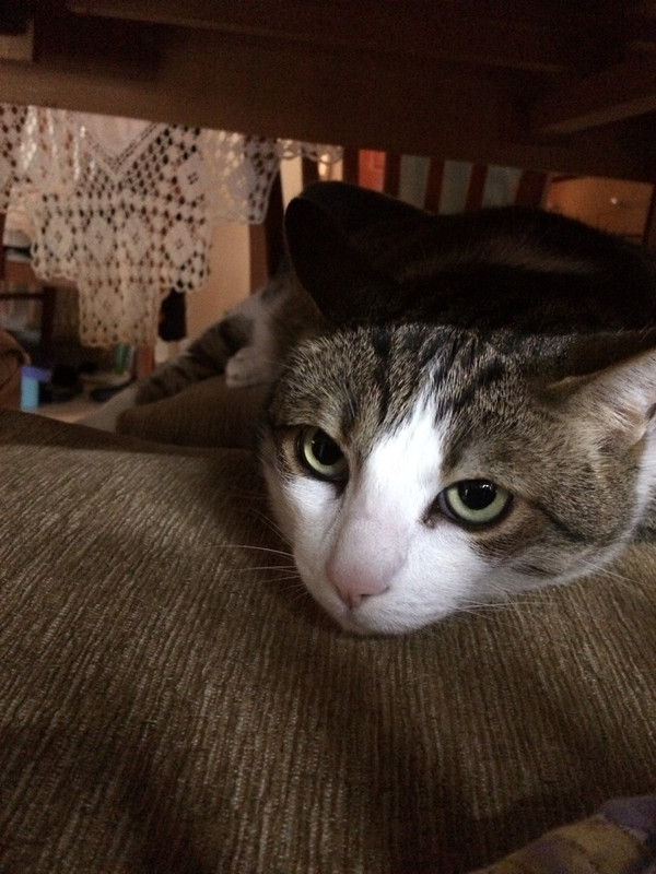 50B826FA-CDF6-4C26-8C4B-5F376784DD98