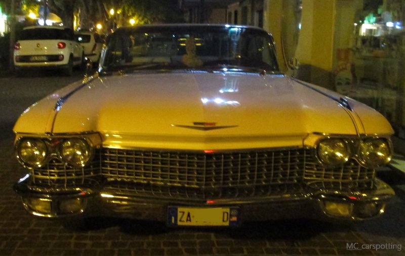 IMG-4598.jpg