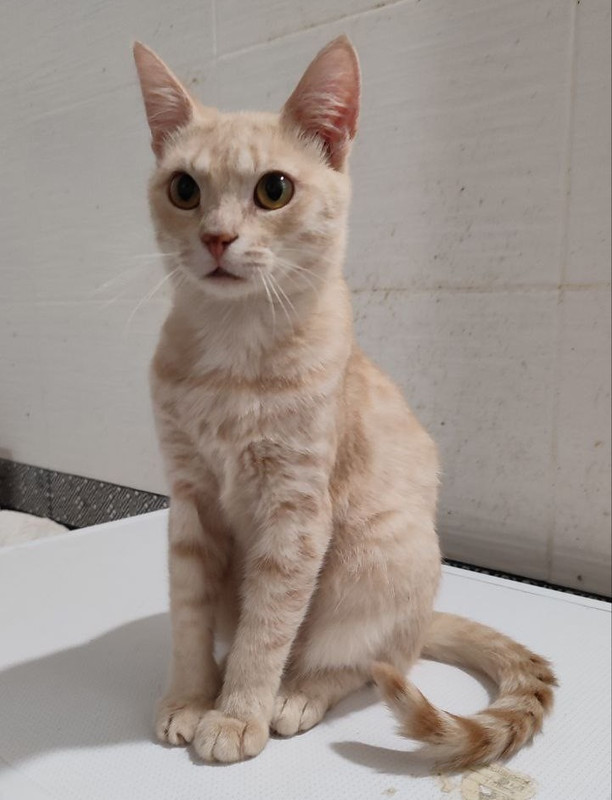 5411317652753872104 (1)