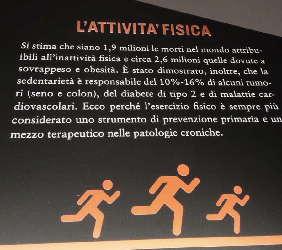 11A4CD6A-D596-41AD-B23A-CC449548EF46