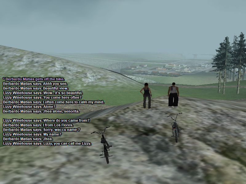 ss-3.png