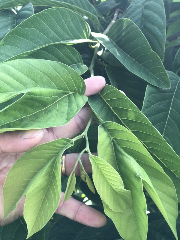 3290F140-BAF2-4F26-B94D-B93D819EE4FD