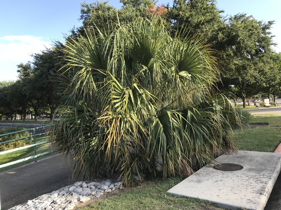 5AF7E6E7-0E7B-4989-8851-1D53B0AFC04B